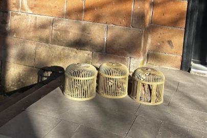 Bitlis'te yasa dışı avcılığa 146 bin lira ceza
