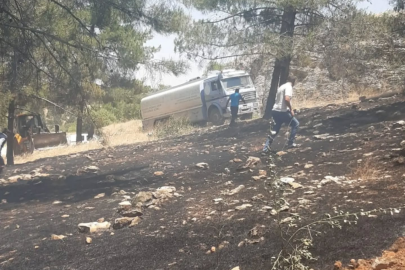 Gaziantep'te ağaçlık alanda yangın