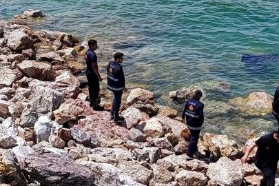 Kontrolden çıkan araç Van Gölü’ne uçtu: Sürücü yaralandı