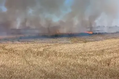 Uzunköprü’de buğday yangını korkuttu