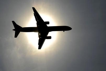 ABD'de, uçuşlarda insana ve evcil hayvana benzeyen robotlara yasak
