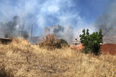 Bodrum'da otluk alanda çıkan yangın, ormana sıçradı
