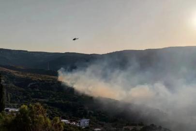 Homeros Vadisi çevresindeki orman yangını kontrol altına alındı