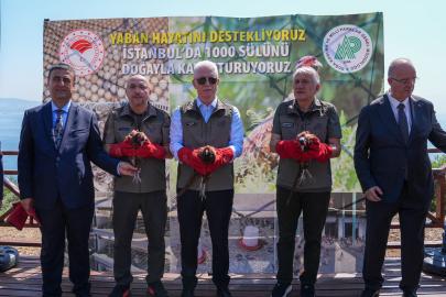 İstanbul Büyükada'da biyolojik mücadele için bin sülün doğaya bırakıldı
