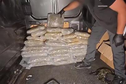 İstanbul'da 45 kilogramdan fazla skunk ele geçirildi