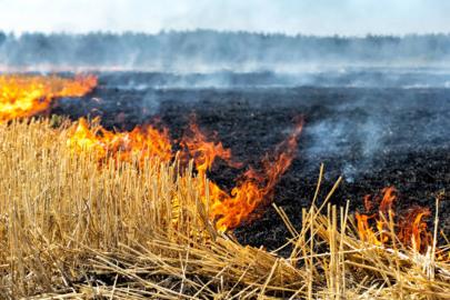 Konya Valiliği’nden anız yakımı uyarısı