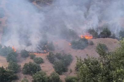 Malatya'da orman yangınını söndürme çalışmaları sürüyor