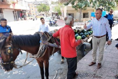 Mersin'de karpuz yüklü arabayı çekerken bitkin düşen at koruma altına alındı