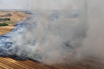 Şanlıurfa'da anıza doğrudan ekim uygulaması yaygınlaştırılıyor