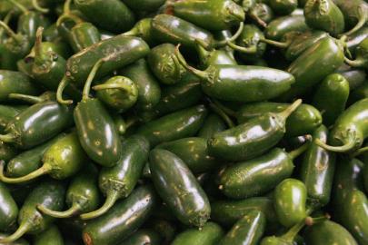 ABD'de jalapeno biberlerinden kaynaklandığı düşünülen salmonella salgını 27 eyalete yayıldı