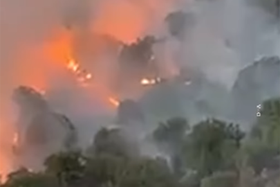 Elazığ'da orman yangını