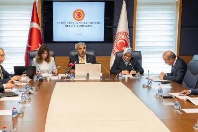 Vatandaşlardan Meclis'e ilginç talepler